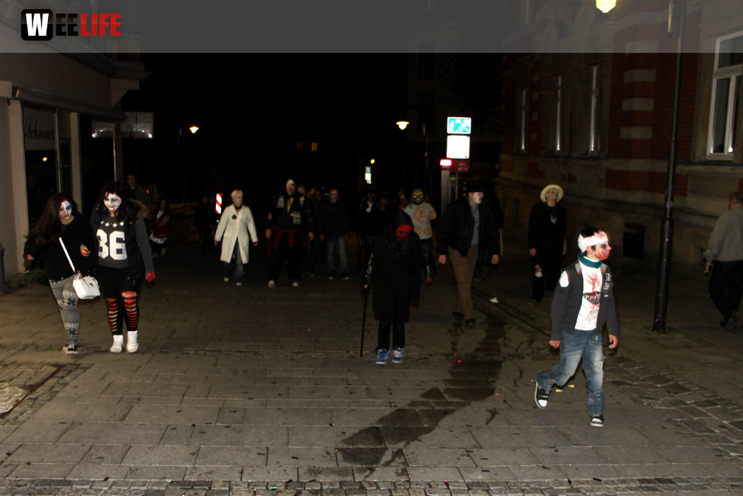 1. Hofer Zombiewalk