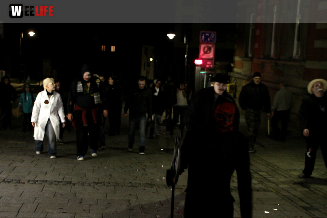 1. Hofer Zombiewalk