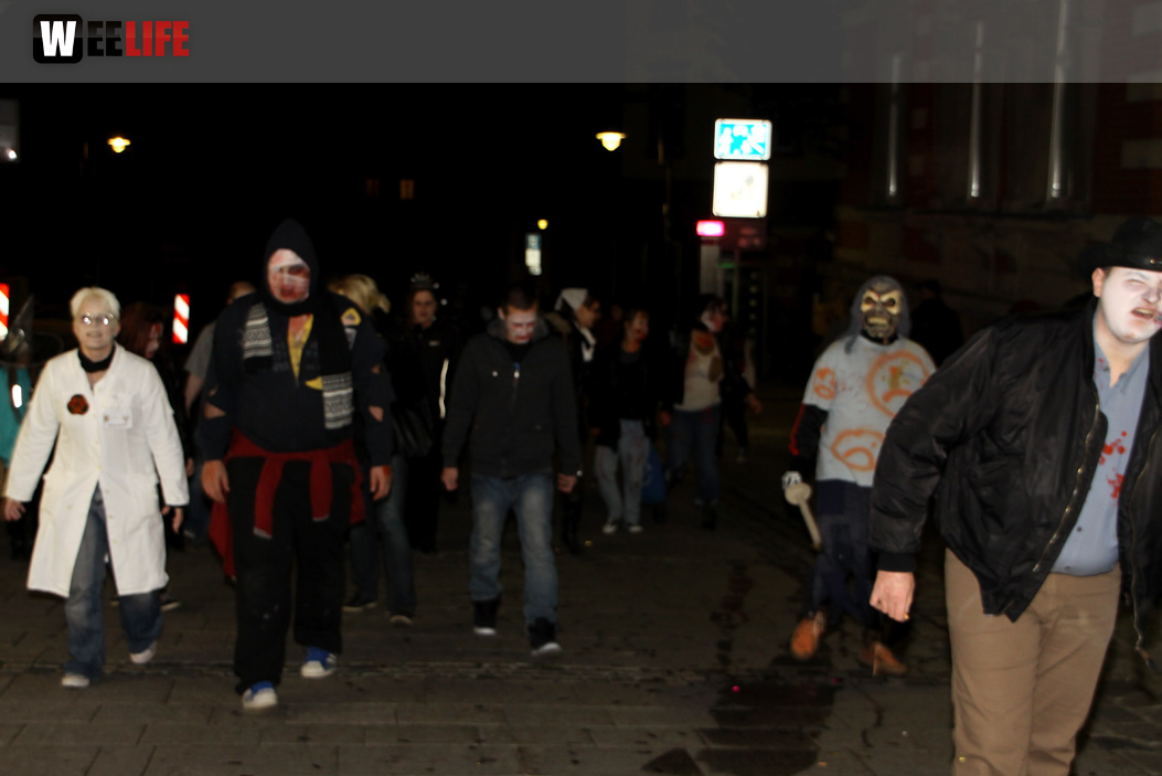 1. Hofer Zombiewalk