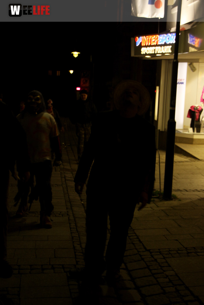 1. Hofer Zombiewalk