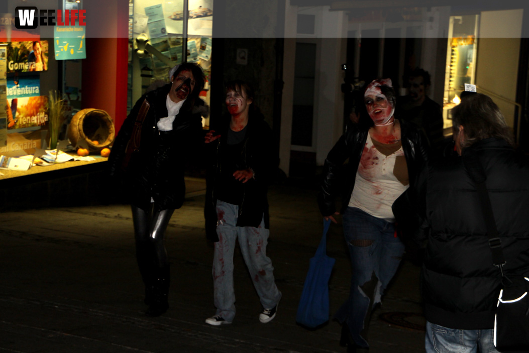 1. Hofer Zombiewalk