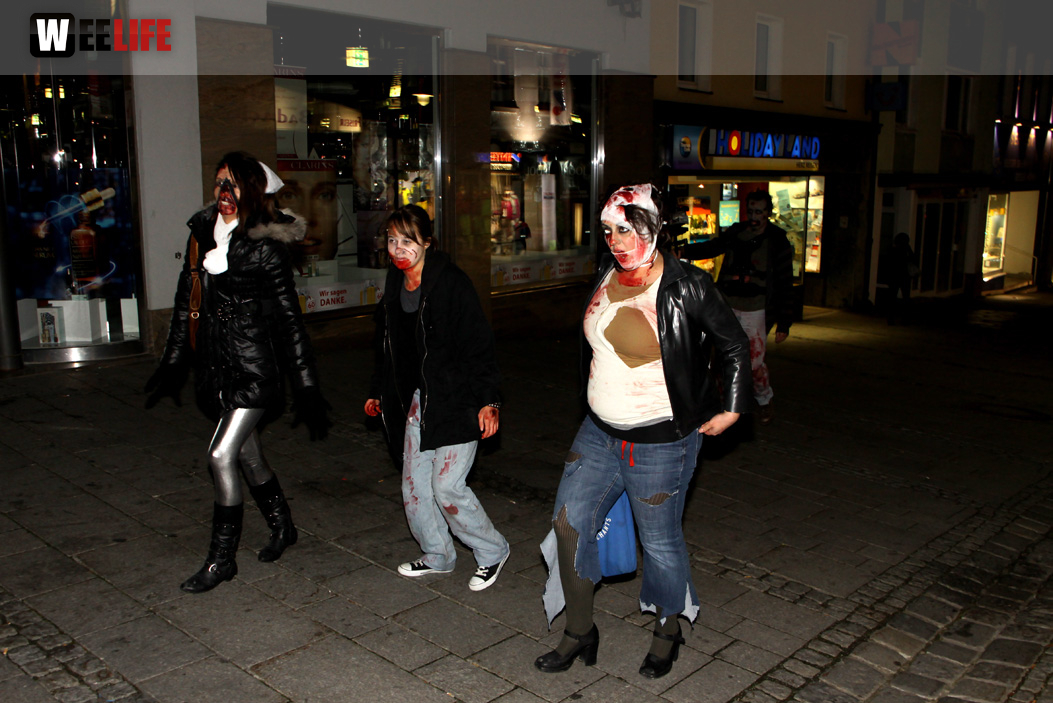 1. Hofer Zombiewalk