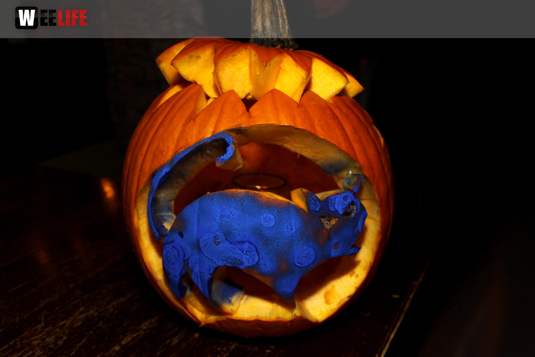 Halloween Party 