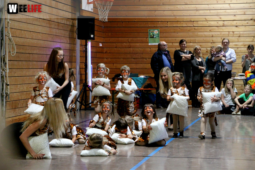Soul-City-Dancers Faschingseröffnung