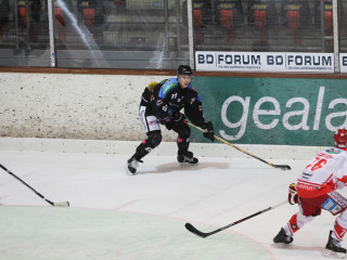 Foto 5960 im Album