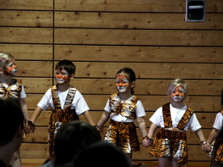 Foto 59617 im Album