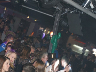 Foto 60142 im Album