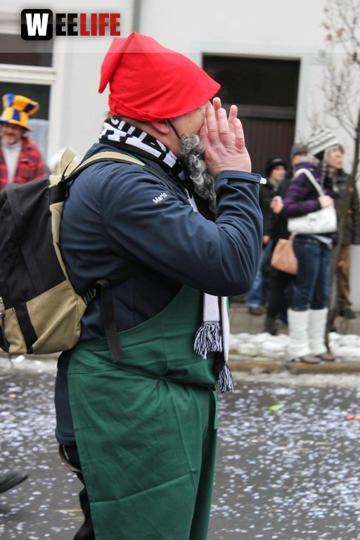 Rawetzer Narrenzug 2012