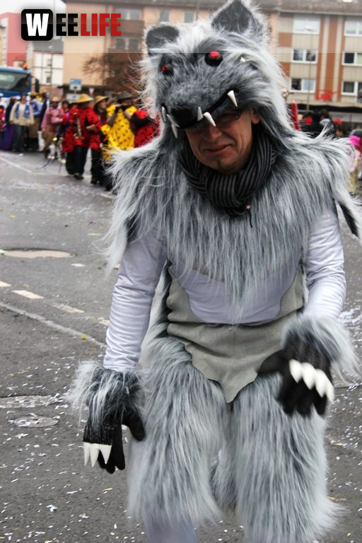 Rawetzer Narrenzug 2012
