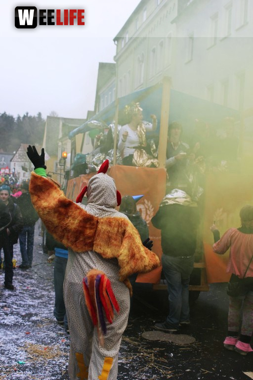 Rawetzer Narrenzug 2012