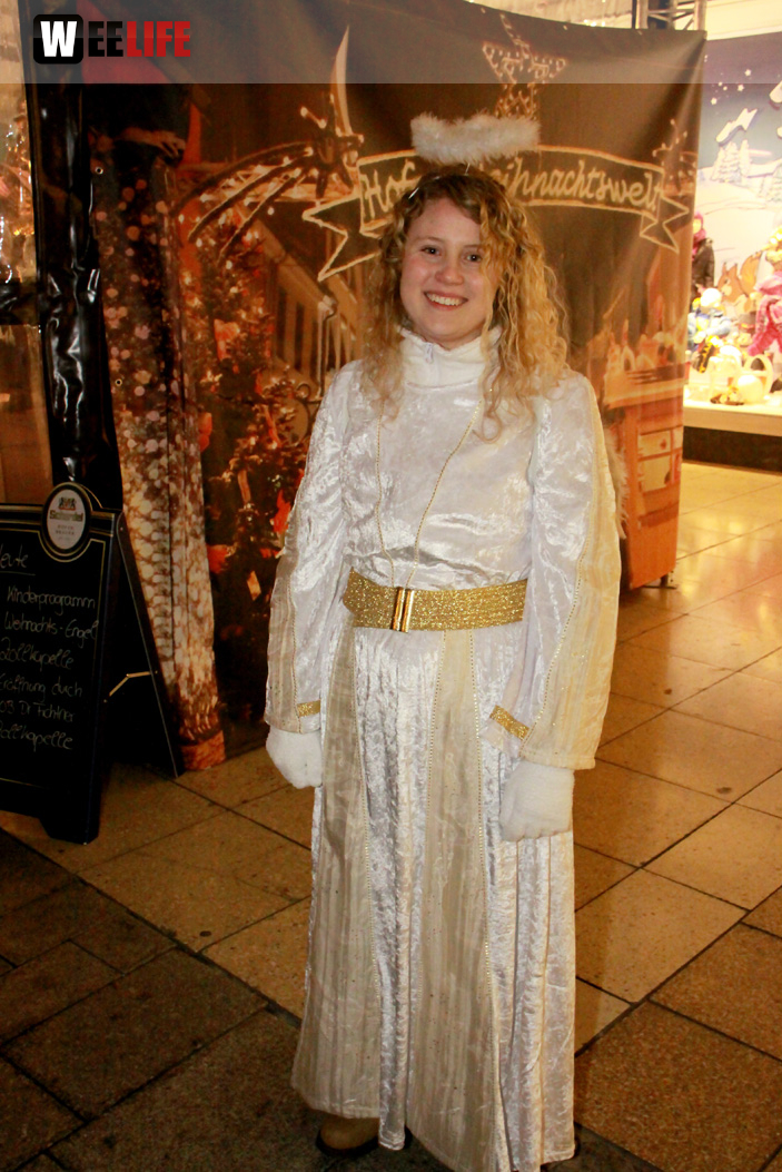 Hofer Weihnachtswelt 2013 Eröffnung