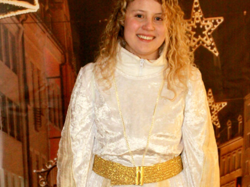 Hofer Weihnachtswelt 2013 Eröffnung – Foto 14