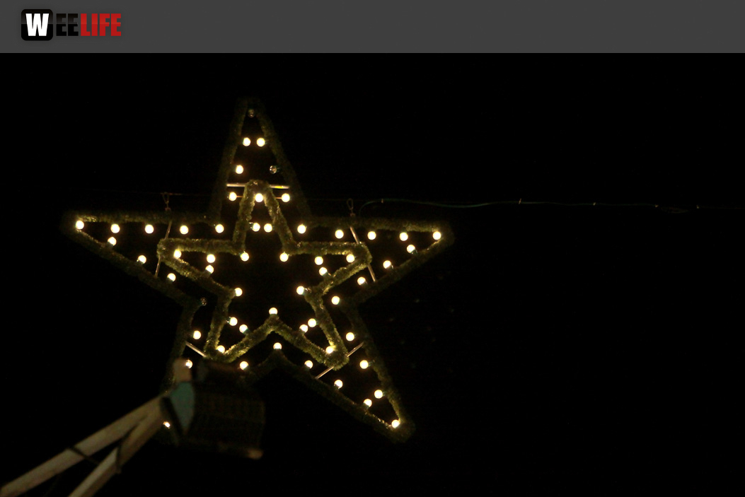 Hofer Weihnachtswelt 2013 Eröffnung