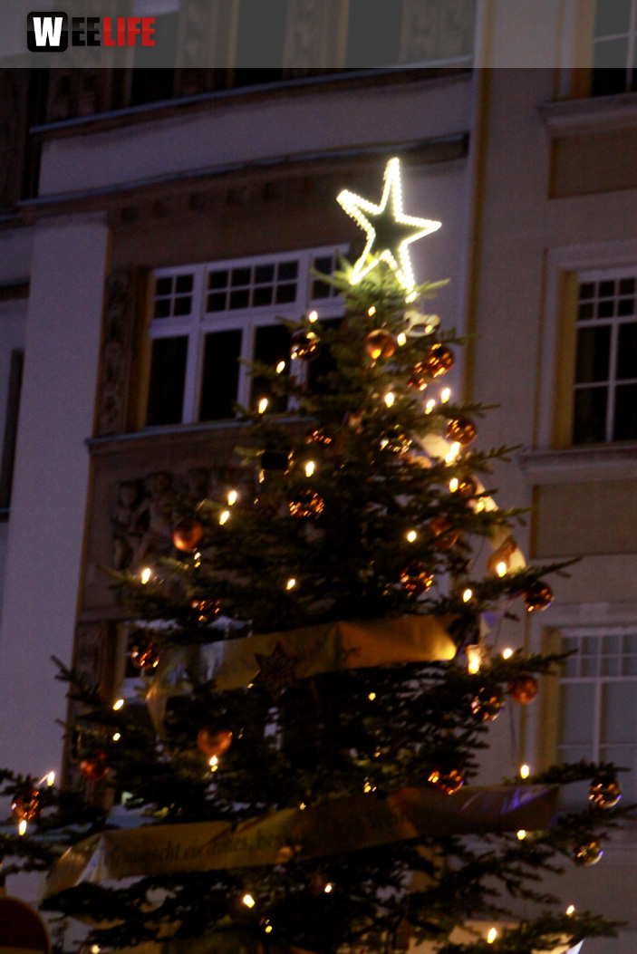 Hofer Weihnachtswelt 2013 Eröffnung