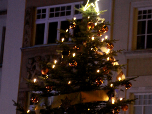 Hofer Weihnachtswelt 2013 Eröffnung – Foto 76