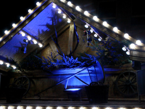 Hofer Weihnachtswelt 2013 Eröffnung – Foto 97
