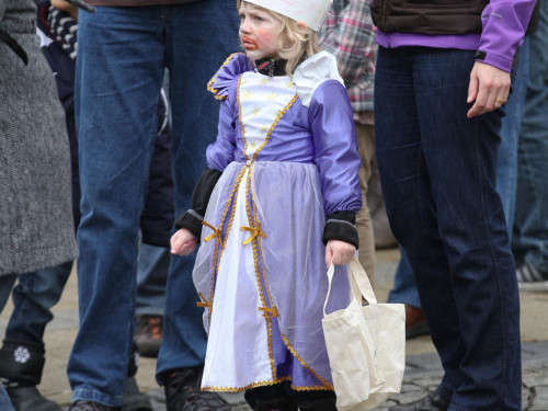 Rawetzer Narrenzug 2012 – Foto 4