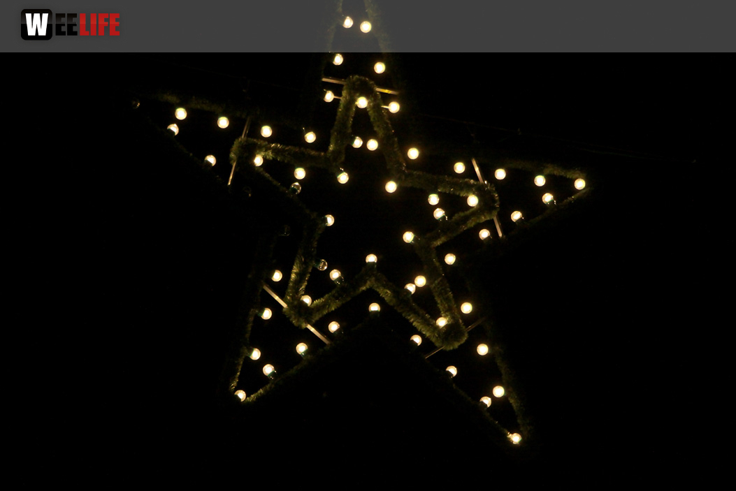 Hofer Weihnachtswelt 2013 Eröffnung