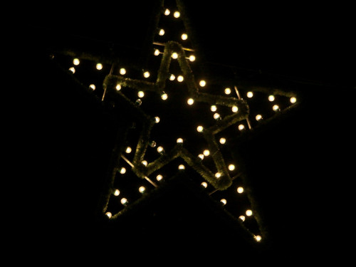 Hofer Weihnachtswelt 2013 Eröffnung – Foto 123