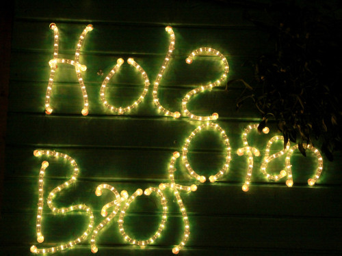 Hofer Weihnachtswelt 2013 Eröffnung – Foto 128