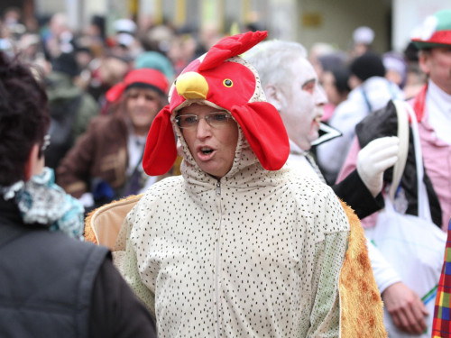 Rawetzer Narrenzug 2012 – Foto 15