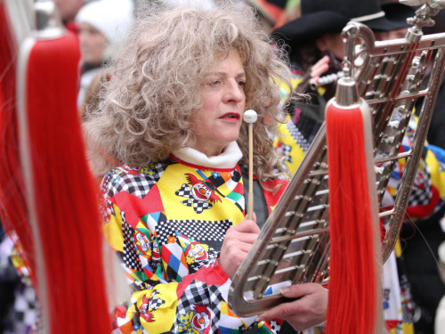 Rawetzer Narrenzug 2012 – Foto 22