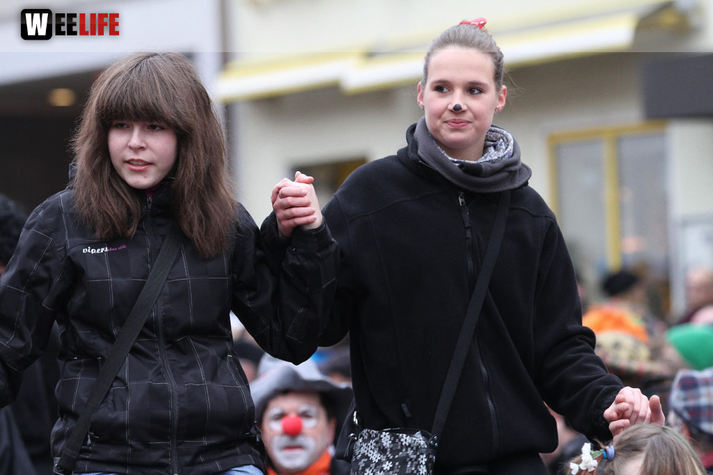 Rawetzer Narrenzug 2012