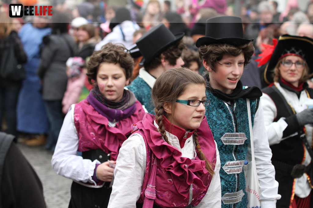 Rawetzer Narrenzug 2012