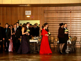 Foto 62611 im Album