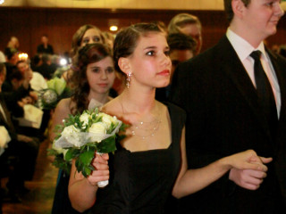 Foto 62621 im Album