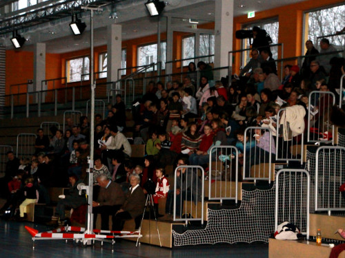 Rudolph und der Spielzeugdieb - Rollschuhshow – Foto 6