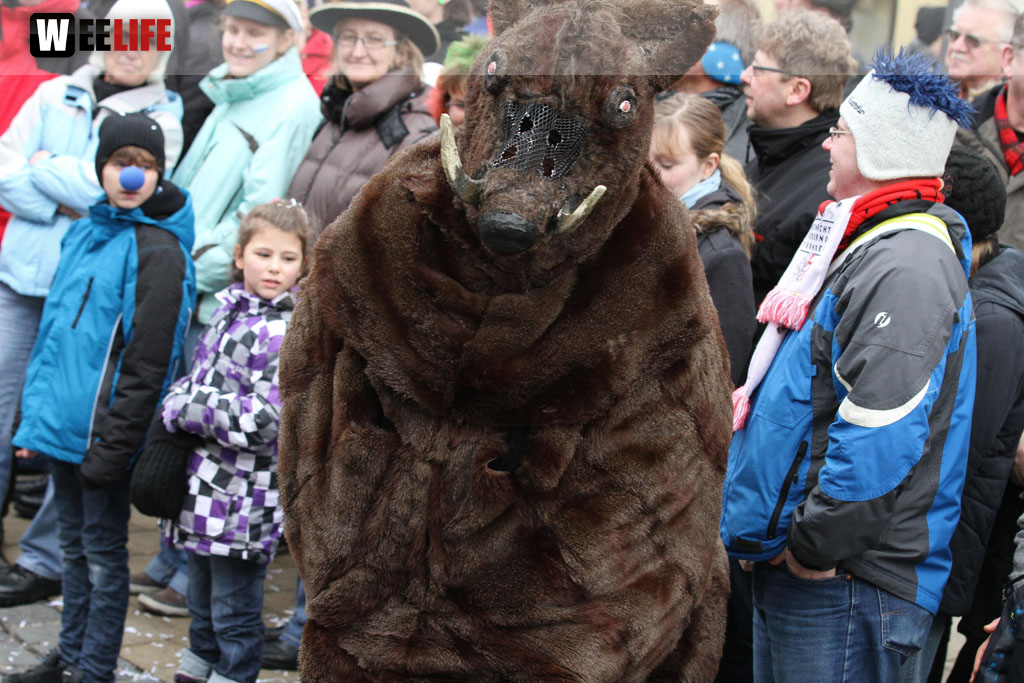 Rawetzer Narrenzug 2012