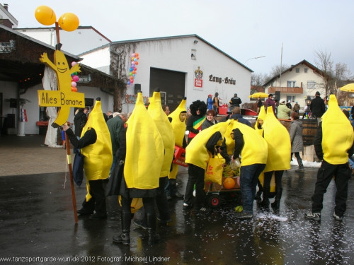 Faschingsumzug – Foto 13