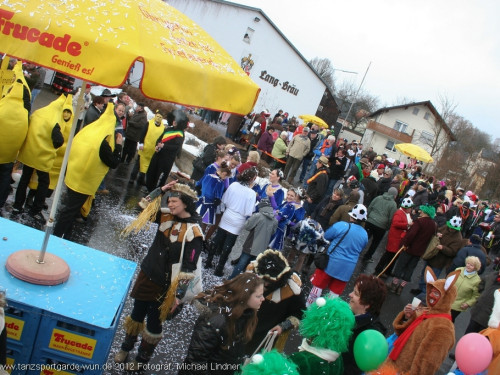Faschingsumzug – Foto 19