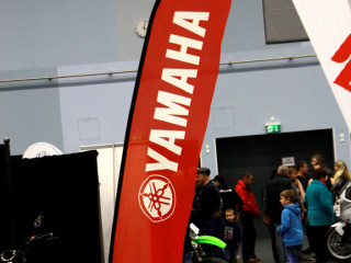 Foto 66534 im Album