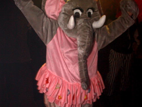 Narhalla Fasching 2014 – Foto 31