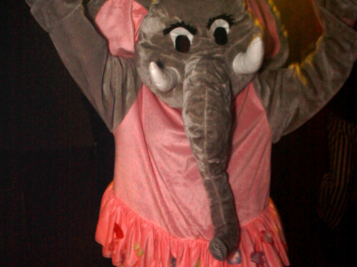 Narhalla Fasching 2014 – Foto 32
