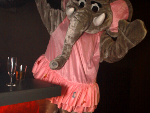 Narhalla Fasching 2014 – Foto 33