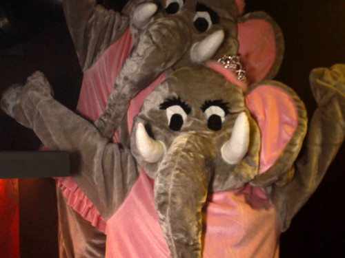 Narhalla Fasching 2014 – Foto 35