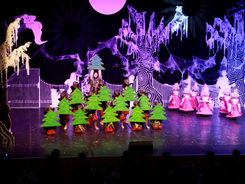 1. Prunksitzung VON ALLEN GEISTERN VERLASSEN Soul-City-Dancers – Foto 36