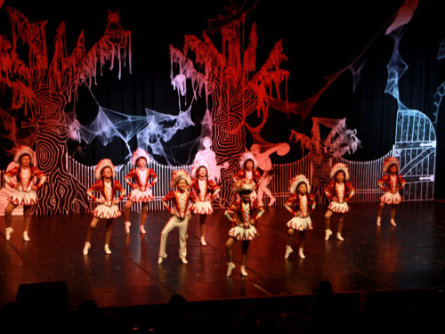 1. Prunksitzung VON ALLEN GEISTERN VERLASSEN Soul-City-Dancers – Foto 54