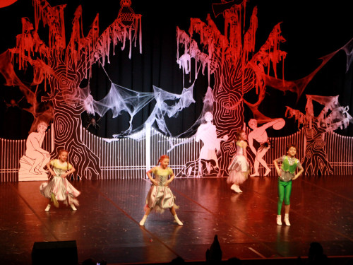 2. Prunksitzung VON ALLEN GEISTERN VERLASSEN Soul-City-Dancers – Foto 13