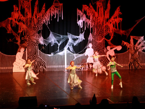 2. Prunksitzung VON ALLEN GEISTERN VERLASSEN Soul-City-Dancers – Foto 14