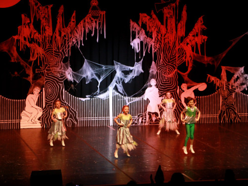 2. Prunksitzung VON ALLEN GEISTERN VERLASSEN Soul-City-Dancers – Foto 15