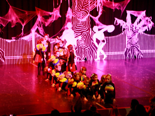 2. Prunksitzung VON ALLEN GEISTERN VERLASSEN Soul-City-Dancers – Foto 23