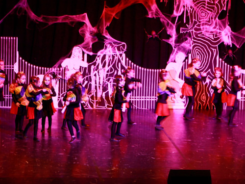2. Prunksitzung VON ALLEN GEISTERN VERLASSEN Soul-City-Dancers – Foto 25