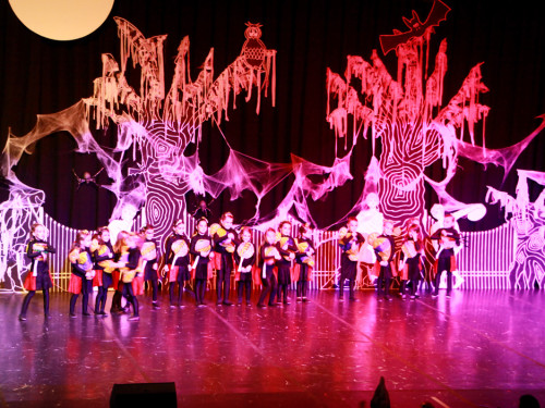 2. Prunksitzung VON ALLEN GEISTERN VERLASSEN Soul-City-Dancers – Foto 26