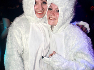Foto 67852 im Album
