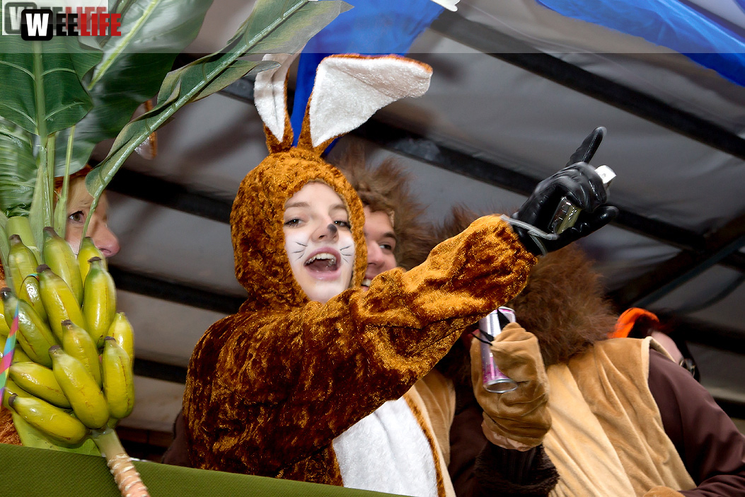Faschingsumzug