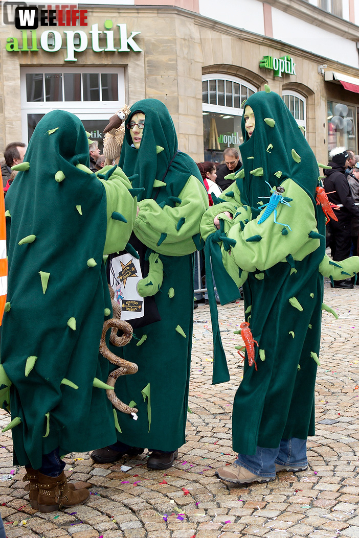 Faschingsumzug